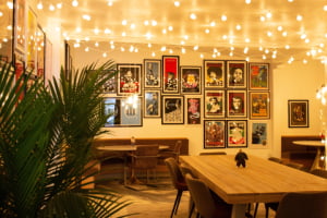 Our Gallery