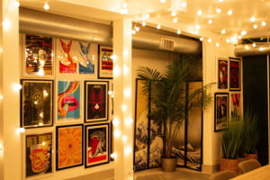 Our Gallery
