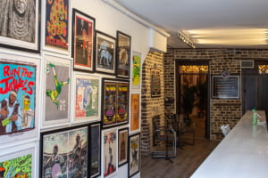 Our Gallery