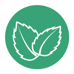 Mint CBD