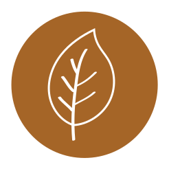Natural CBD